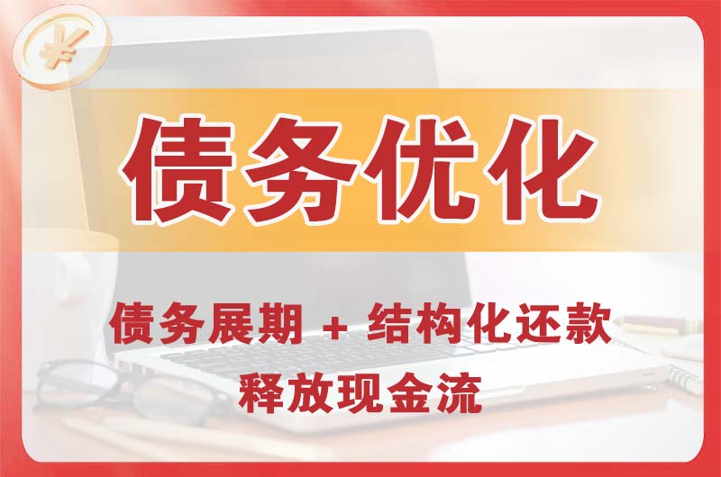 临澧债务优化