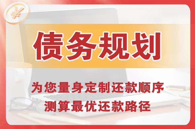 临澧债务规划